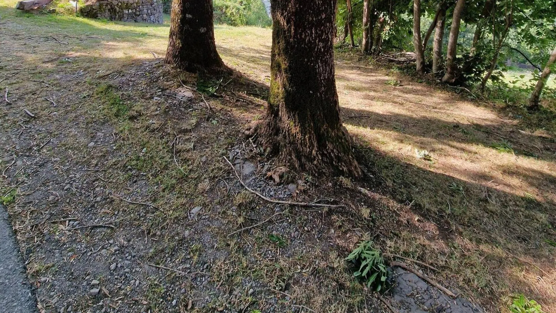 Casetta Immersa Nella Natura Riolunato