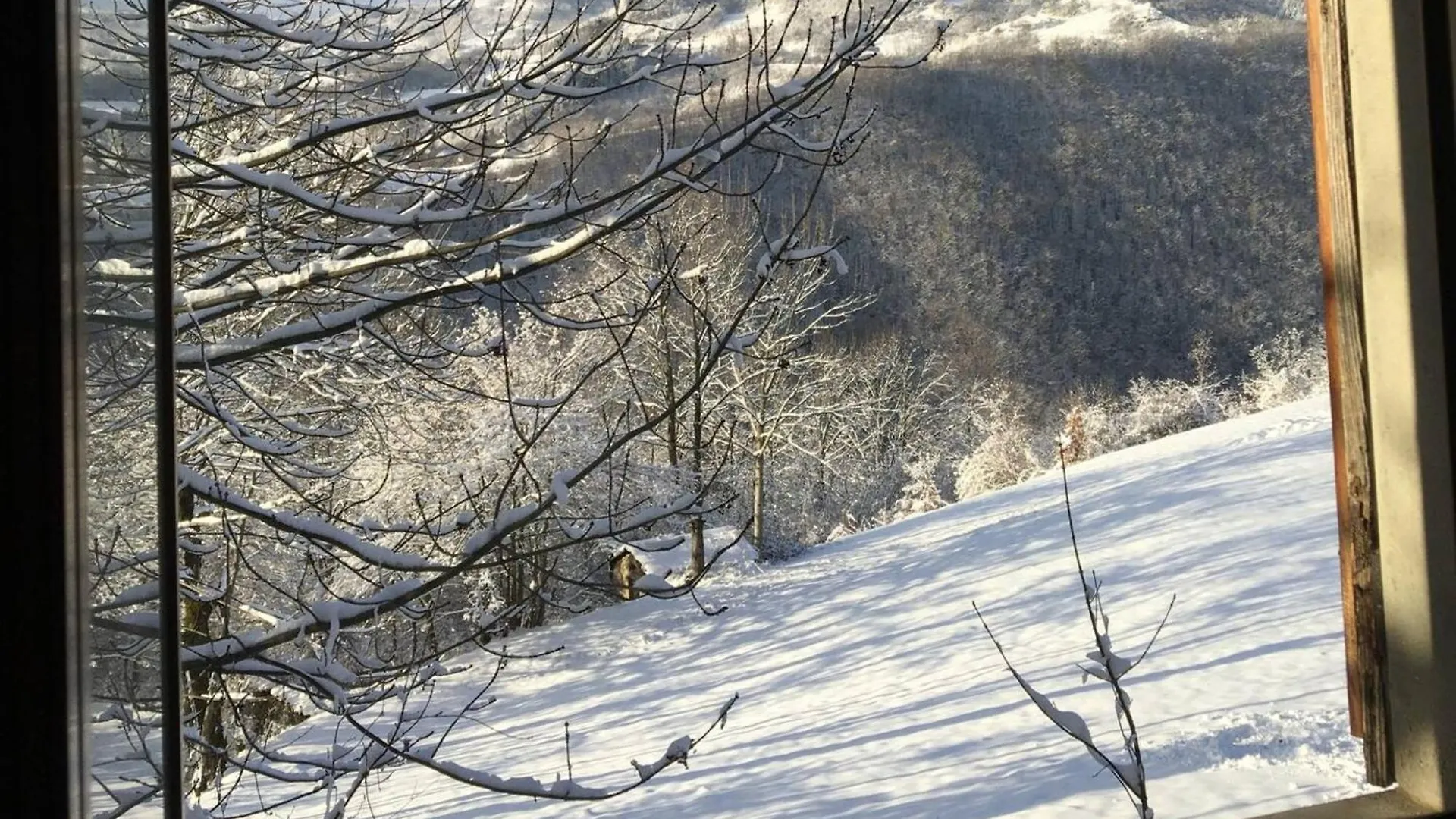 Casetta Immersa Nella Natura Riolunato Holiday home